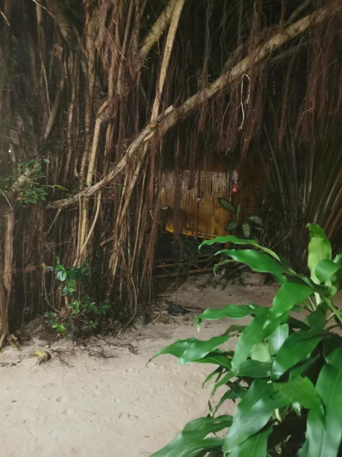 Coco Sunset Beach Ban Bang Po Ngoại thất bức ảnh